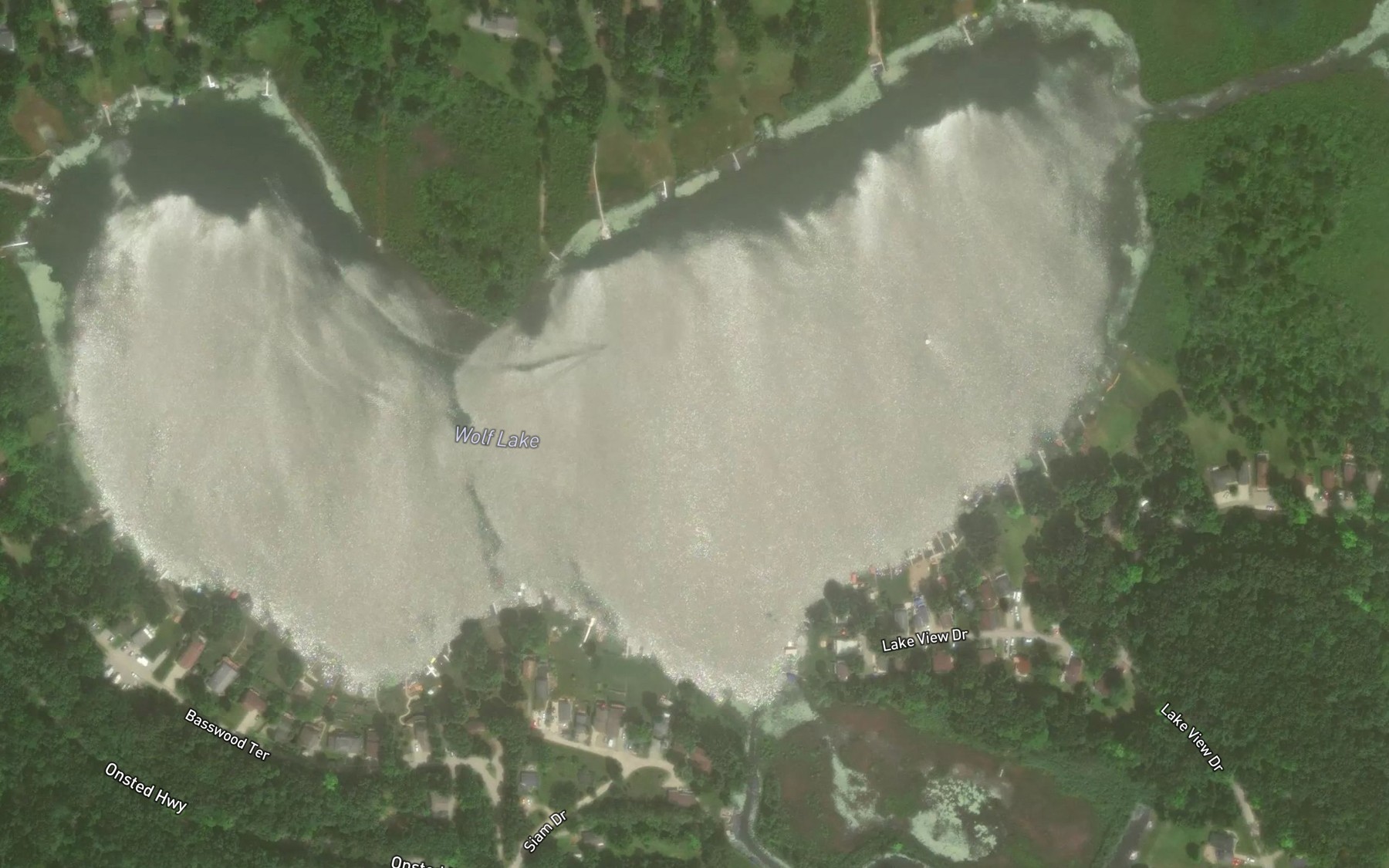 Satellite map of the Wolf Lake
