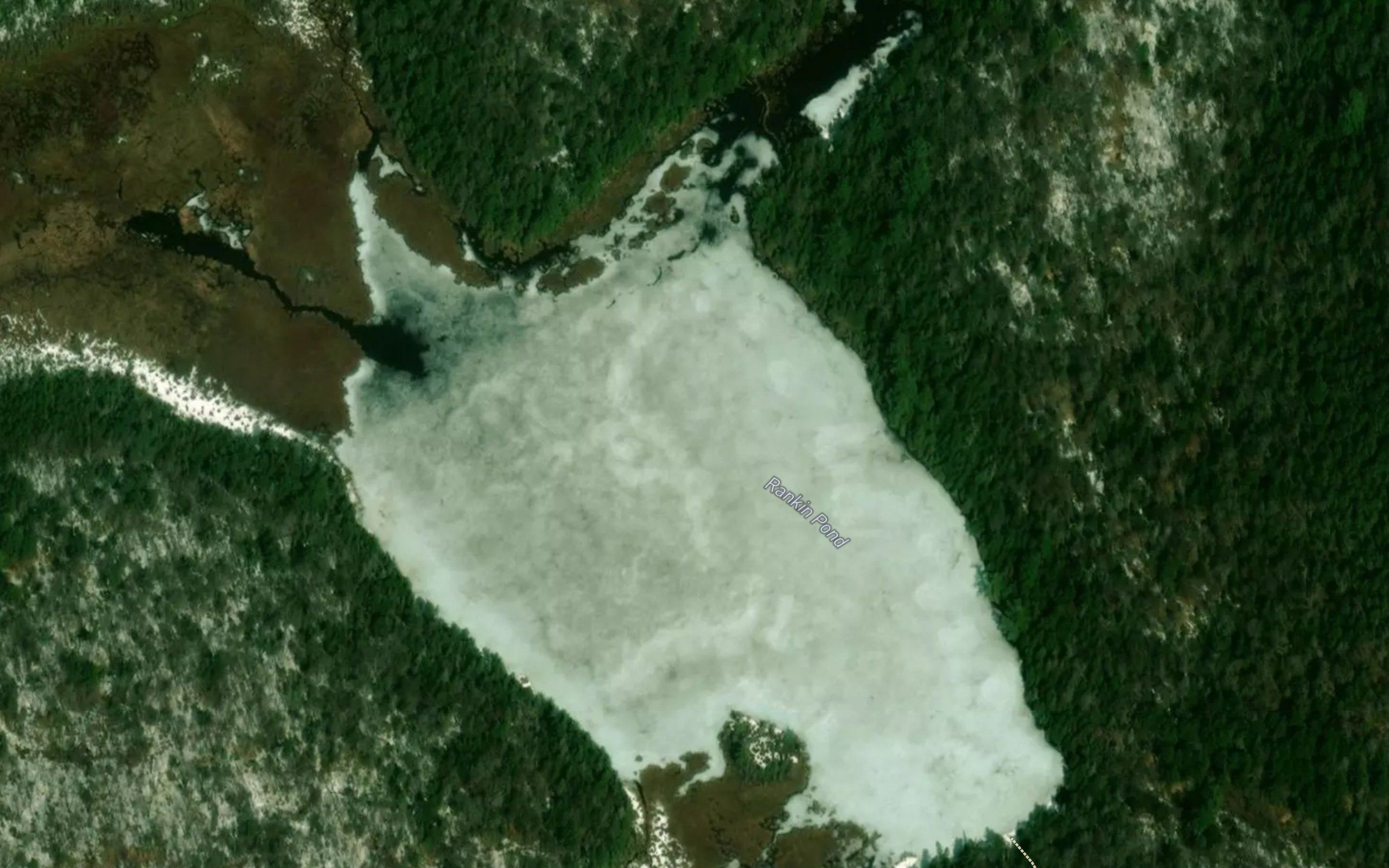 Rankin Pond