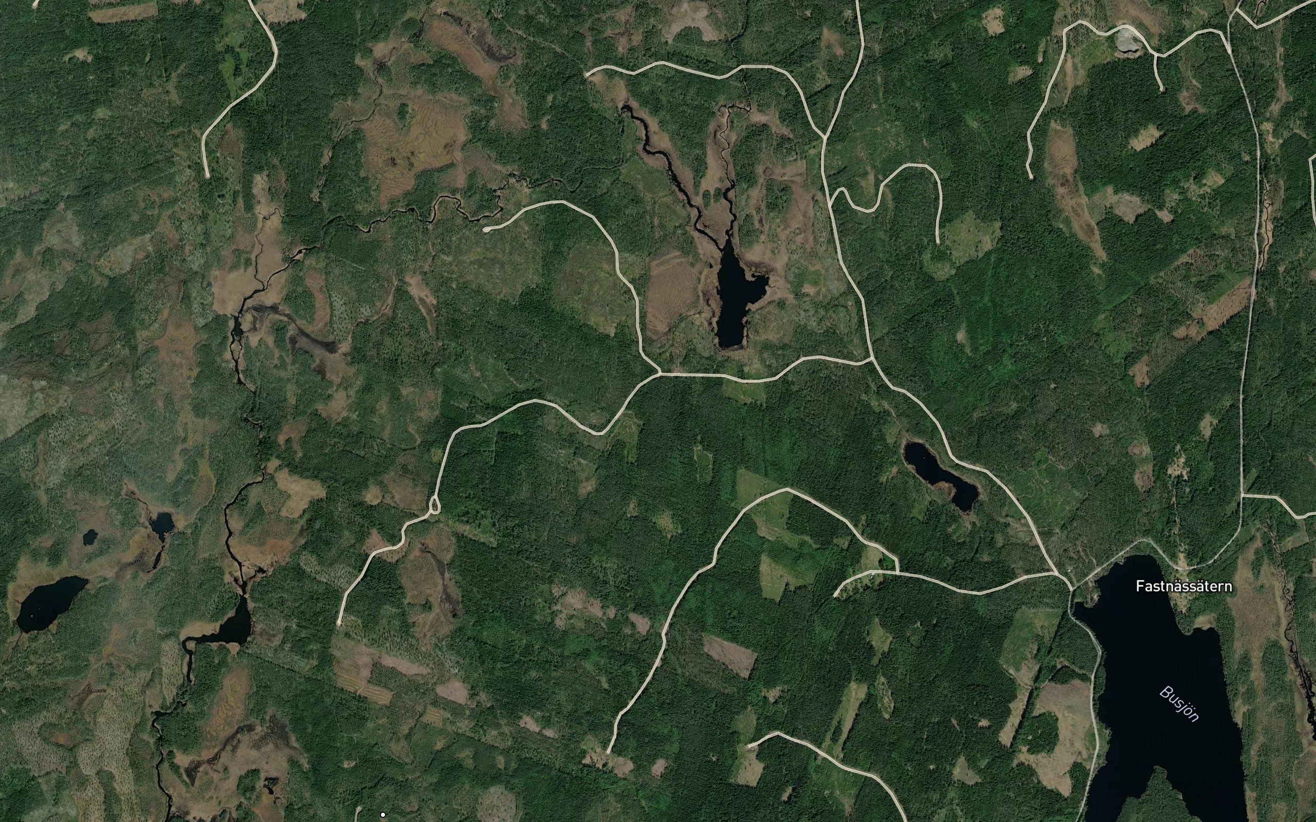 Skarbergsalven
