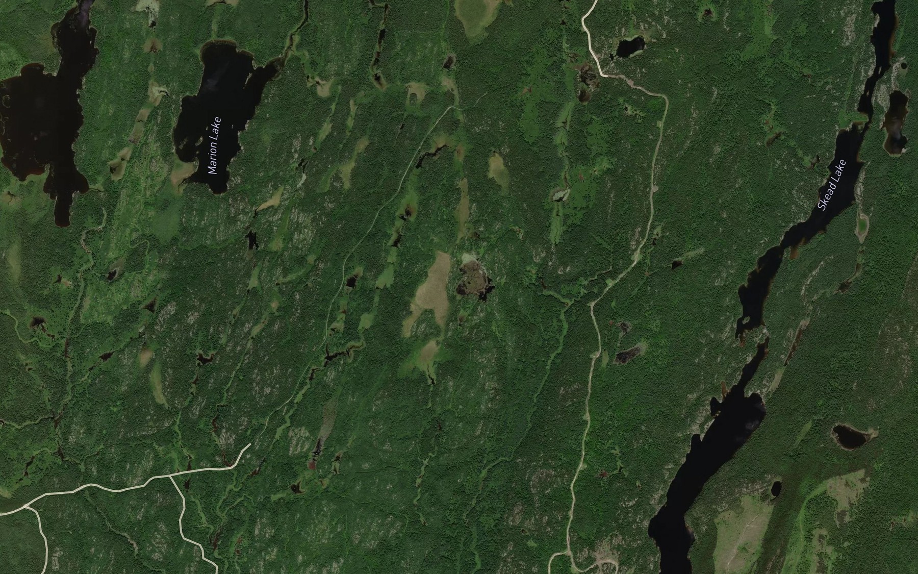 Satellite map of the Old Moose Pond