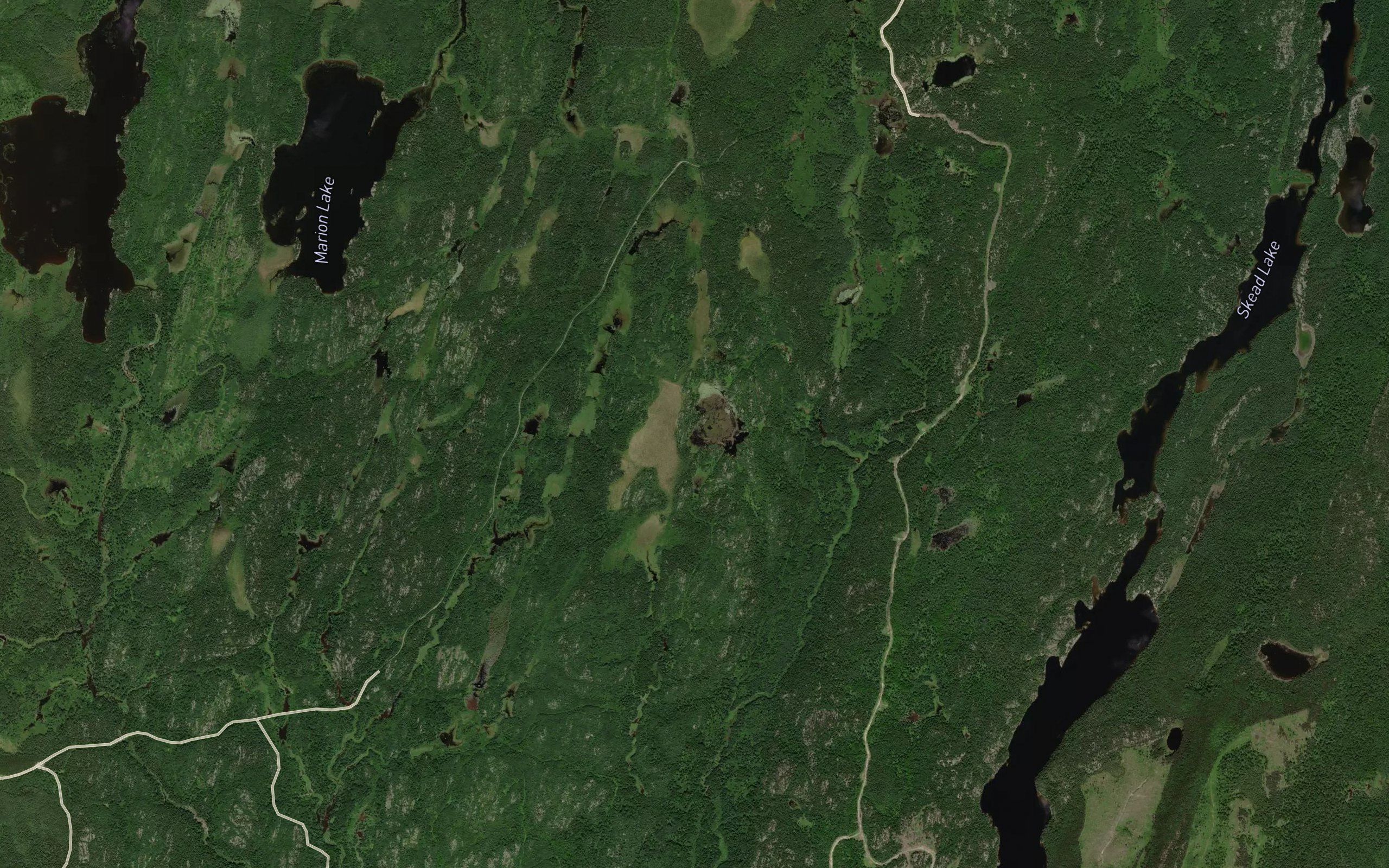 Old Moose Pond