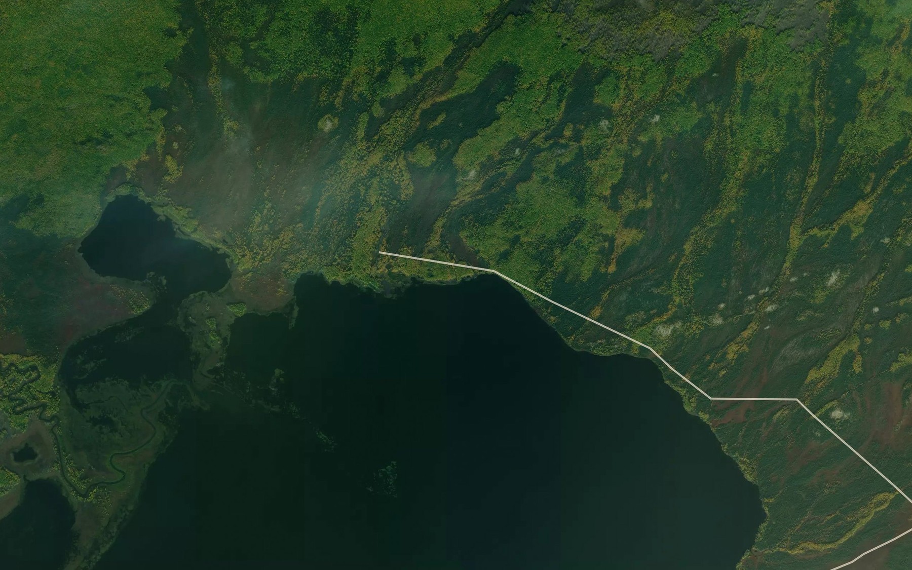 Satellite map of the Blueberry Creek