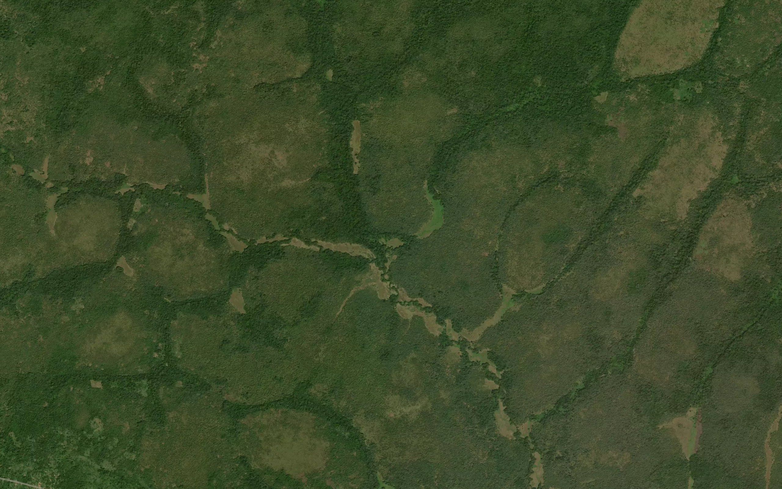 Nzangu