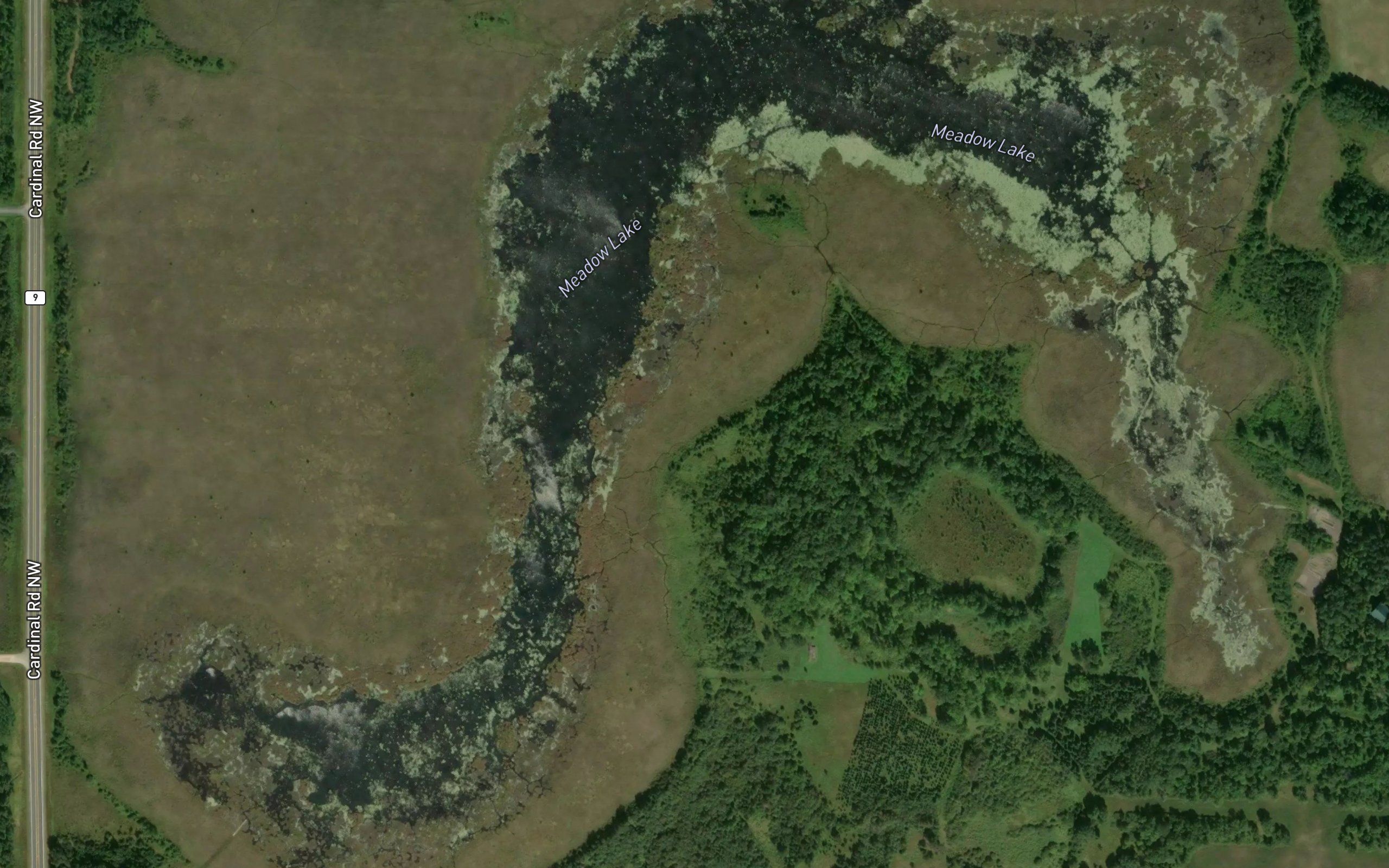 Meadow Lake