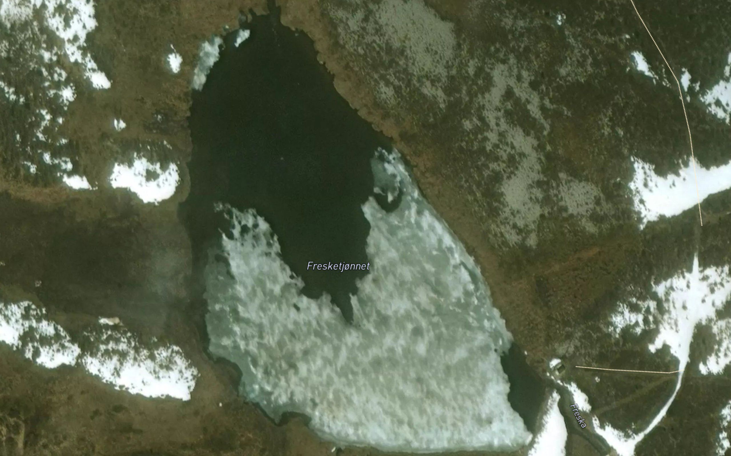 Frisketjornet