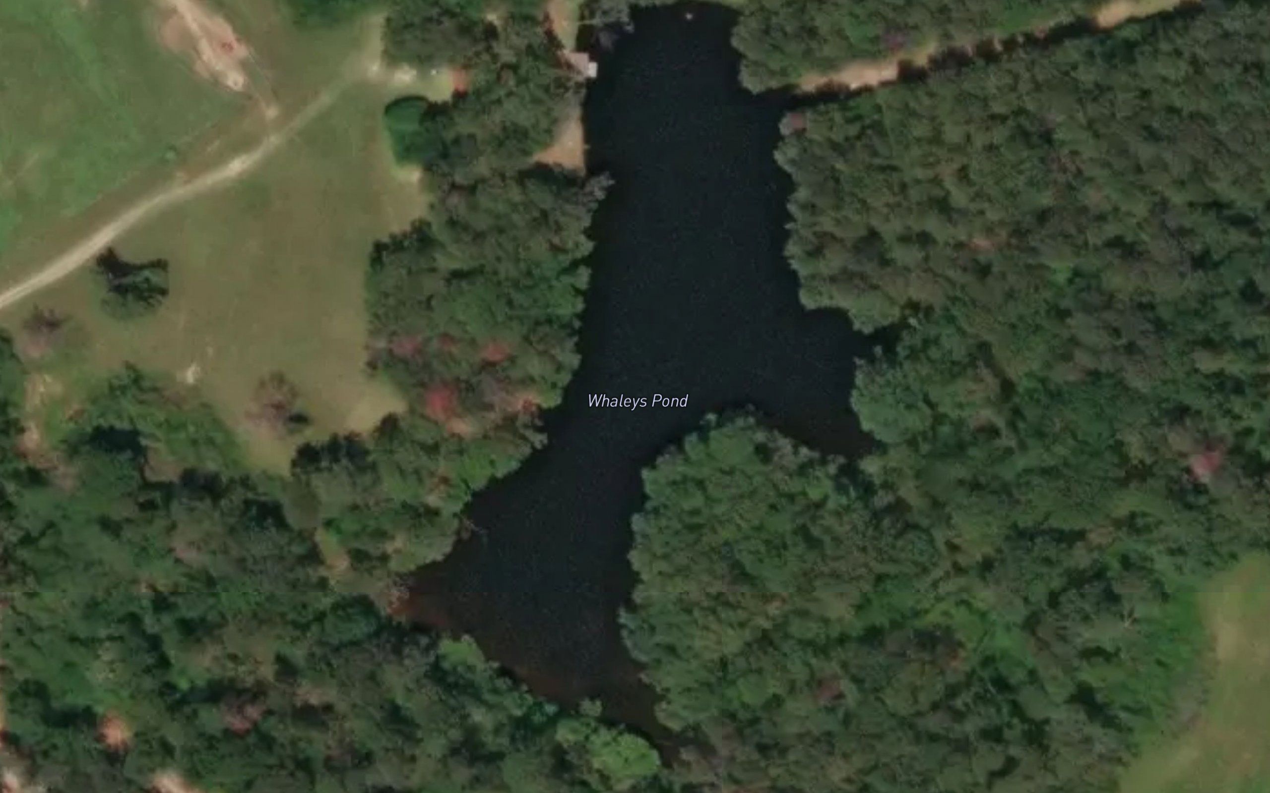 Whaleys Pond