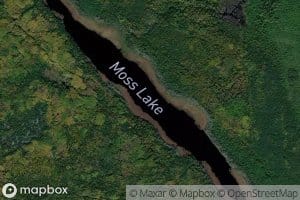 Moss Lake