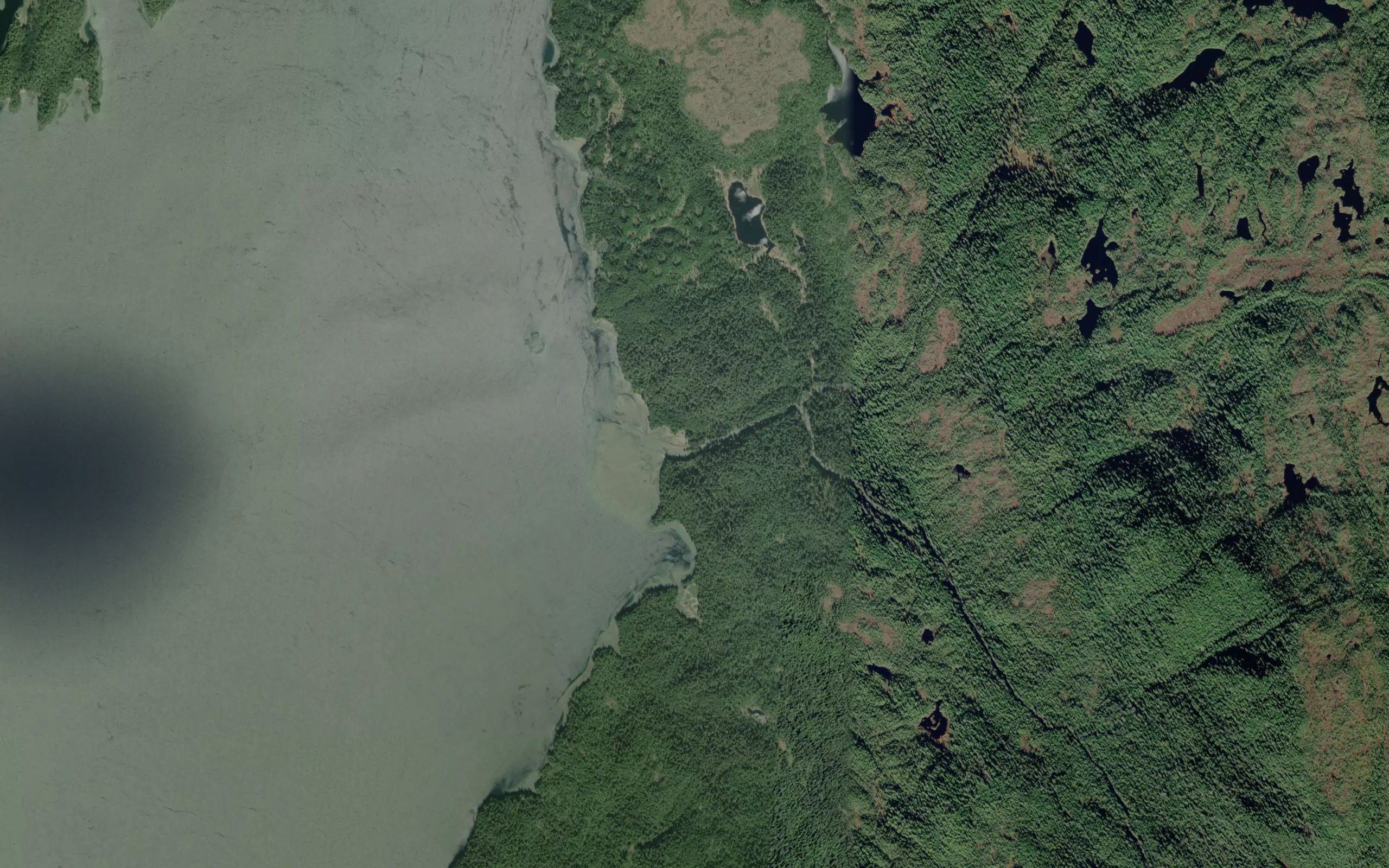 Gokachin Creek