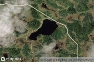 Blekkatjern