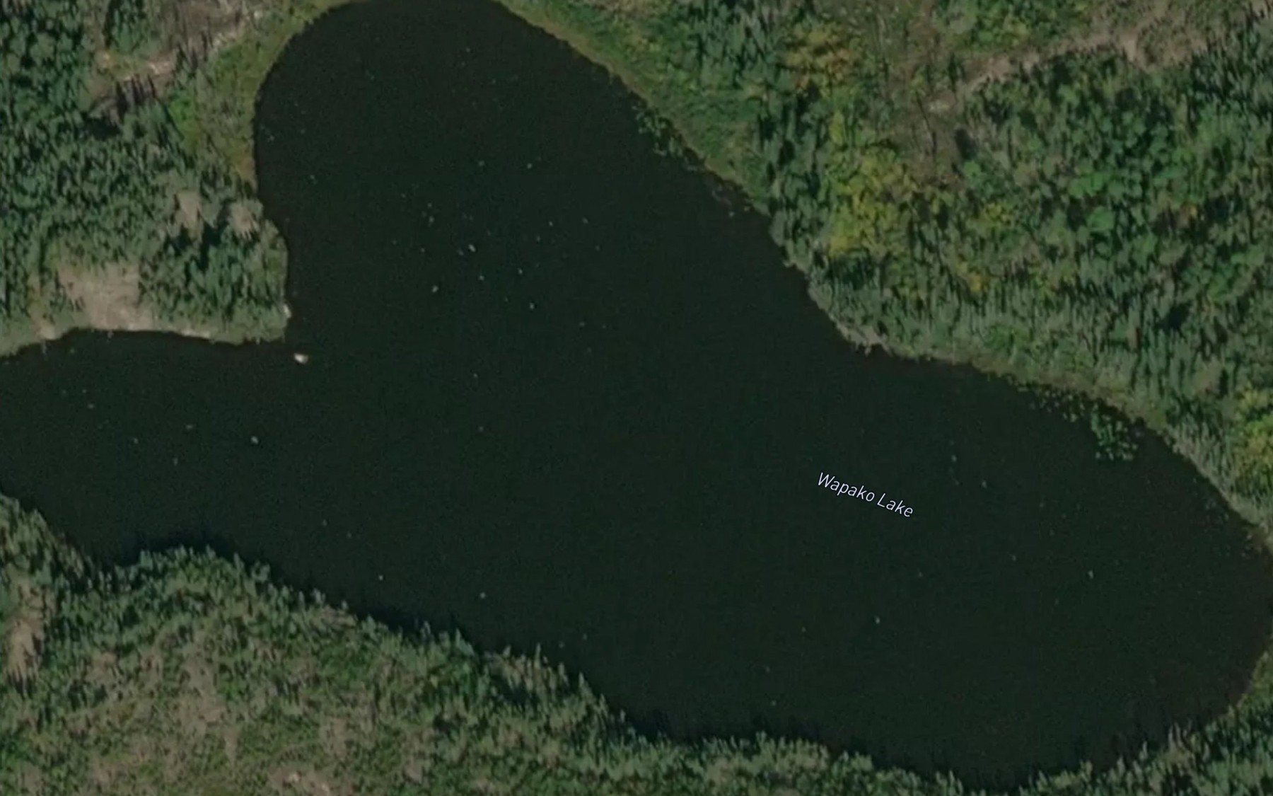 Satellite map of the Wapako Lake