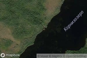 Kornizoya