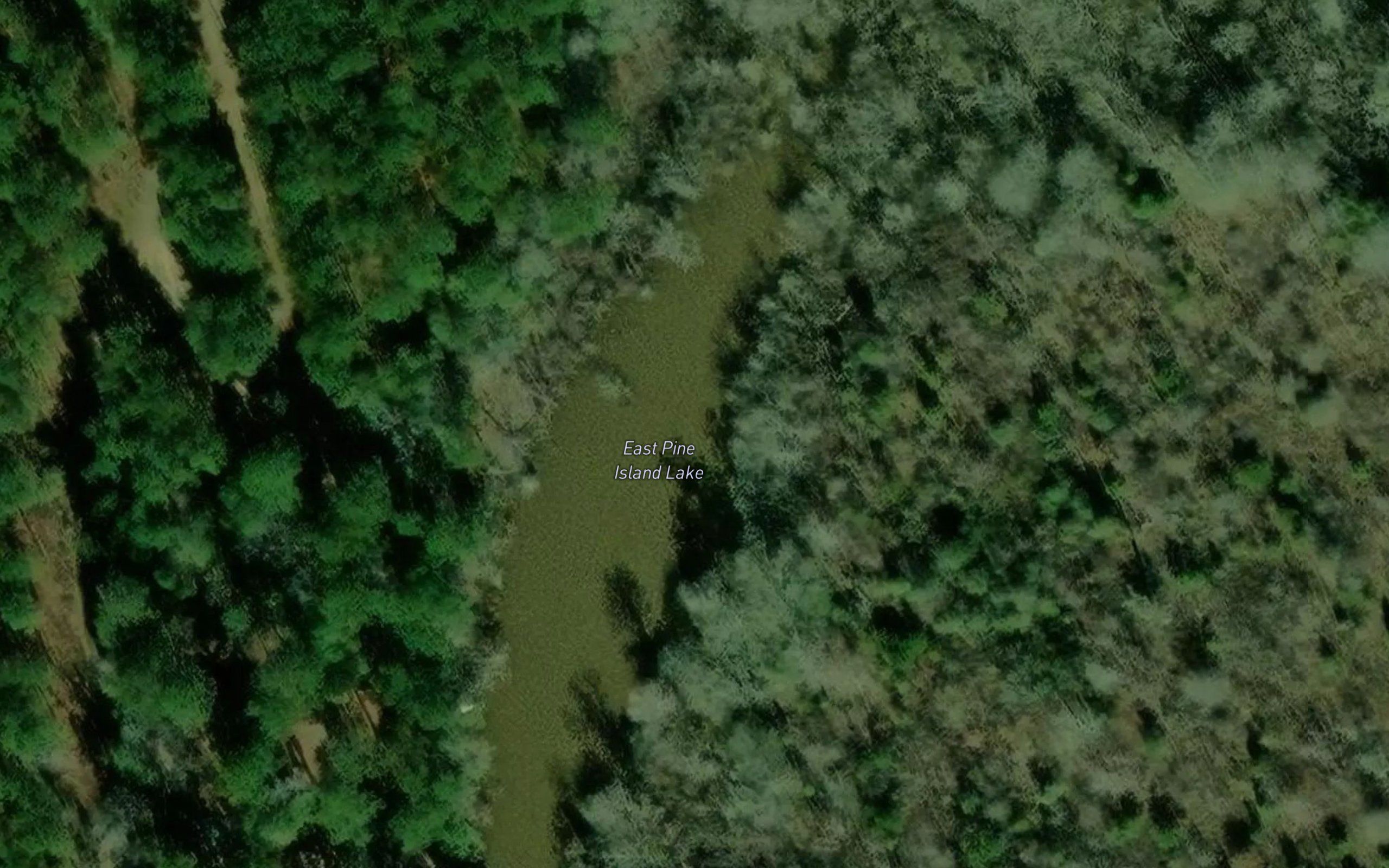 East Pine Island Lake