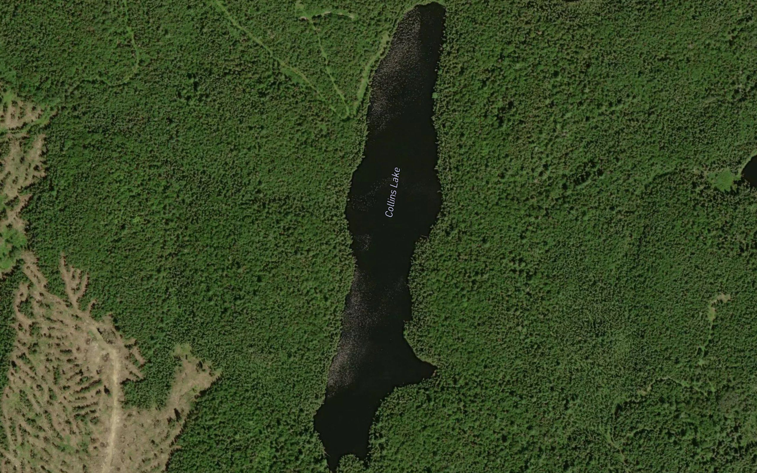 Collins Lake
