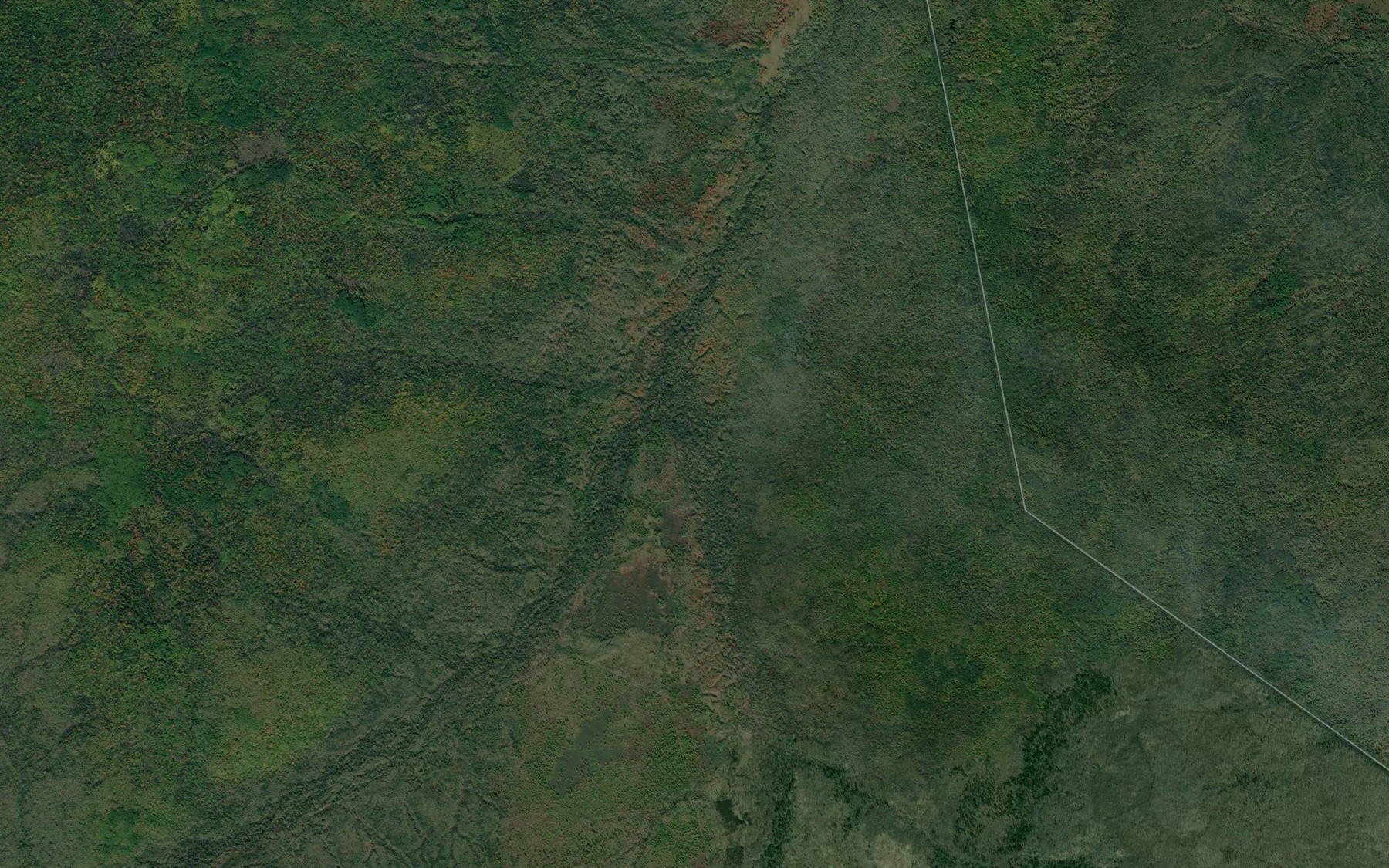 Satellite map of the Bolotnyy