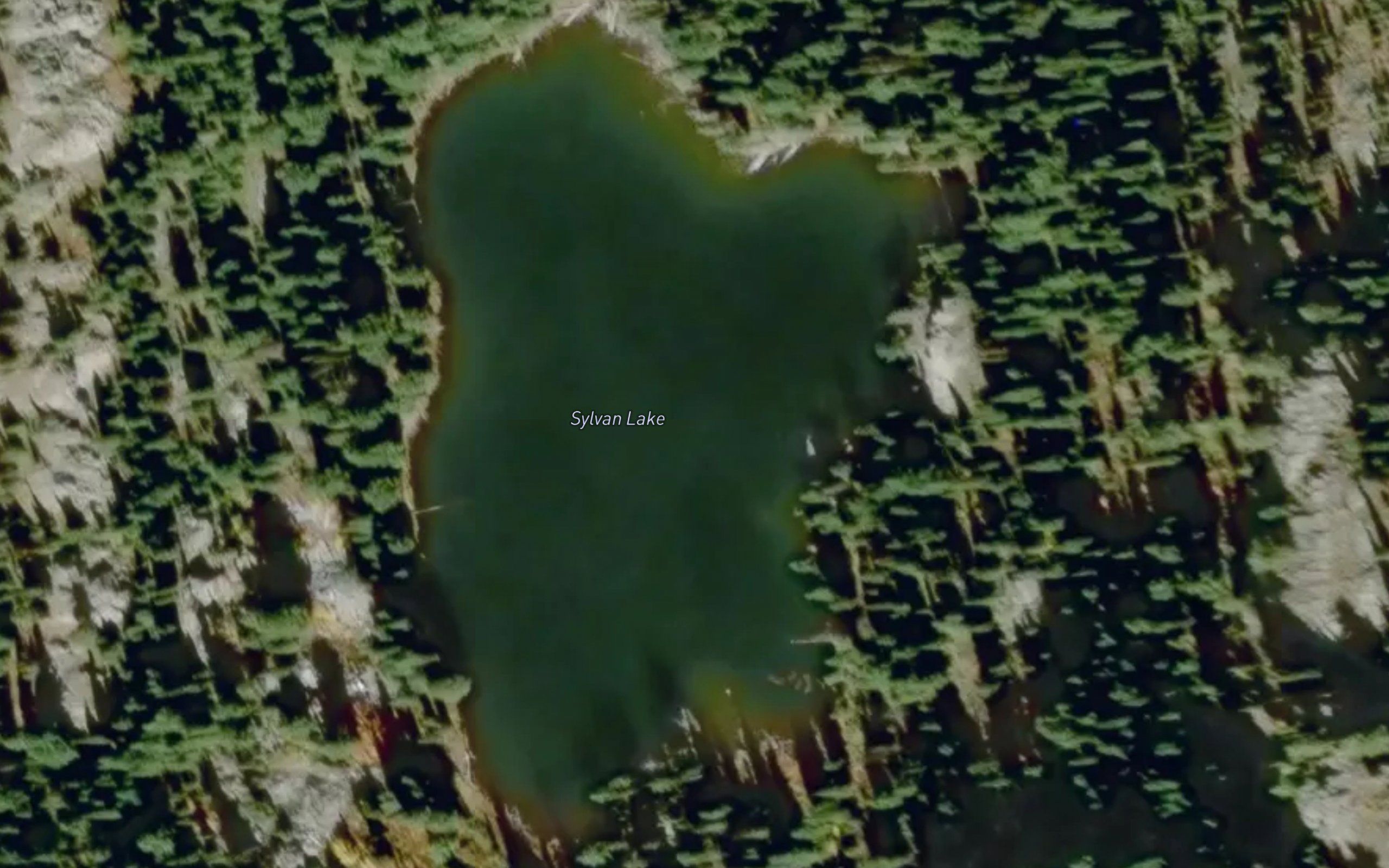 Sylvan Lake