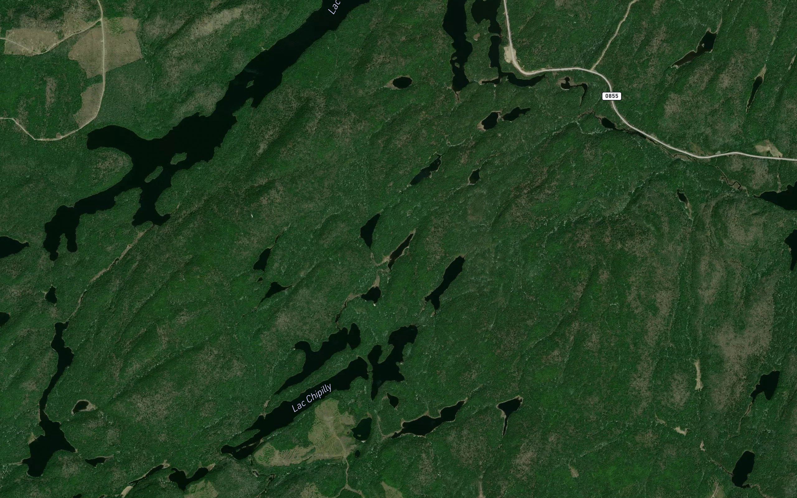 Lac Rapp