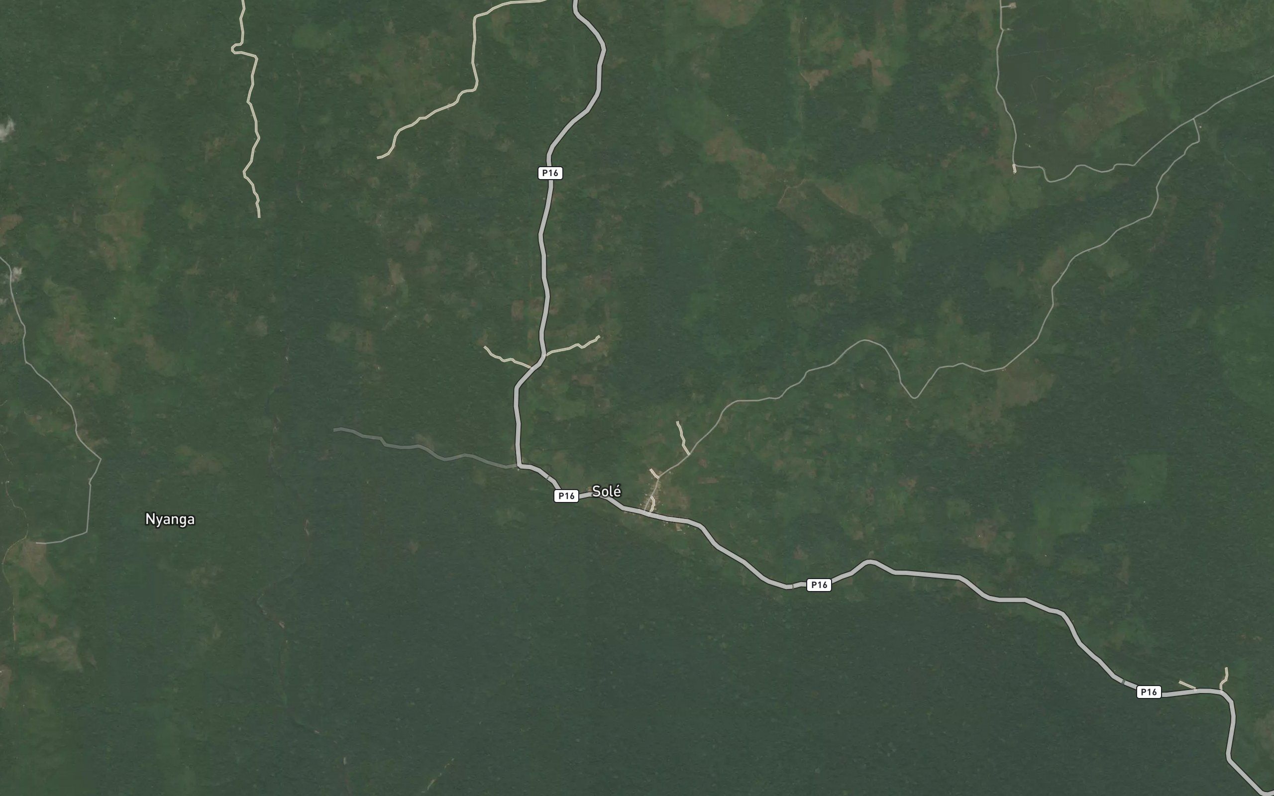 Mbondo