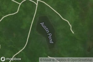 Austin Pond