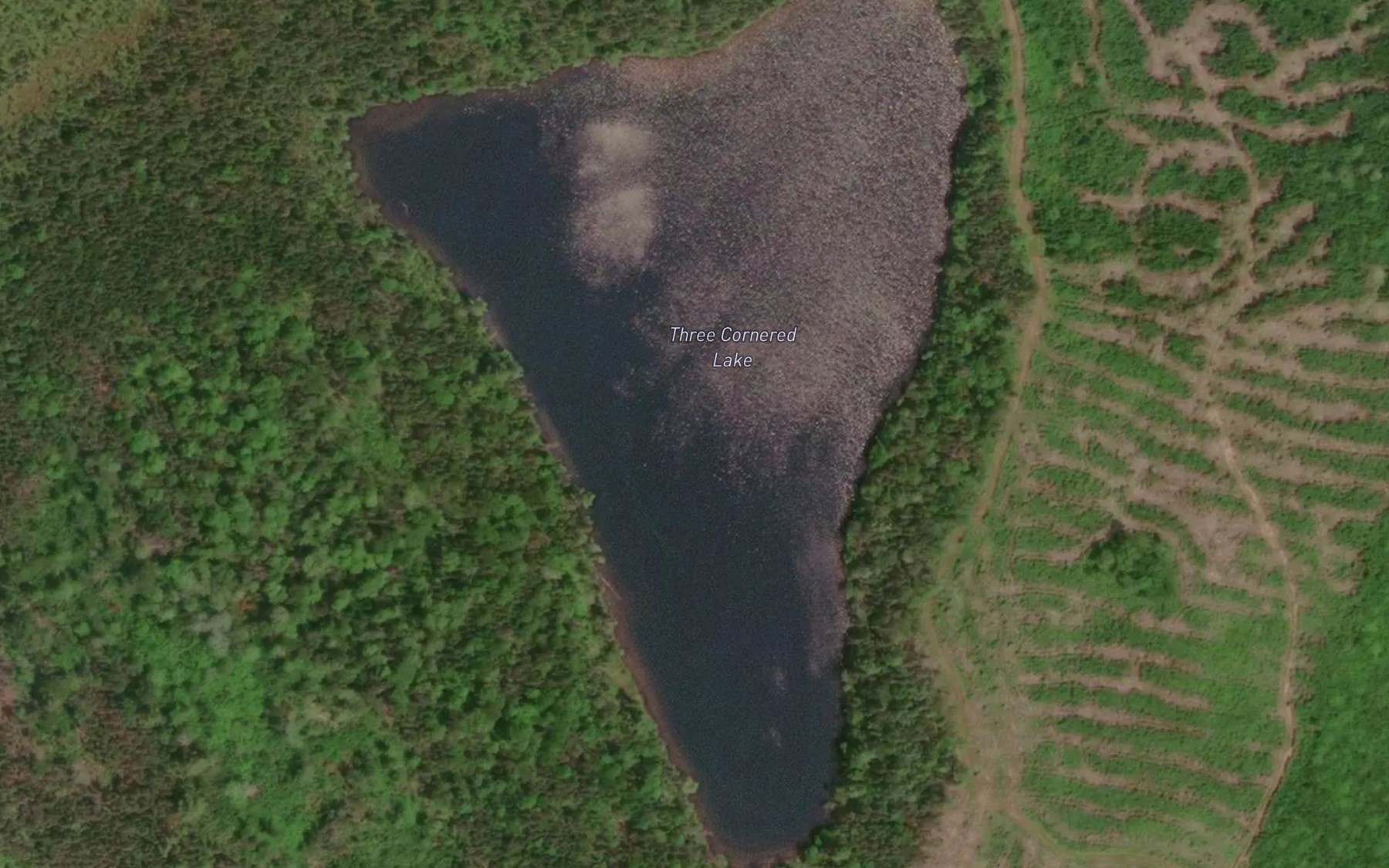 Satellite map of the Three Cornered Lake