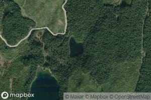 Liver Lake