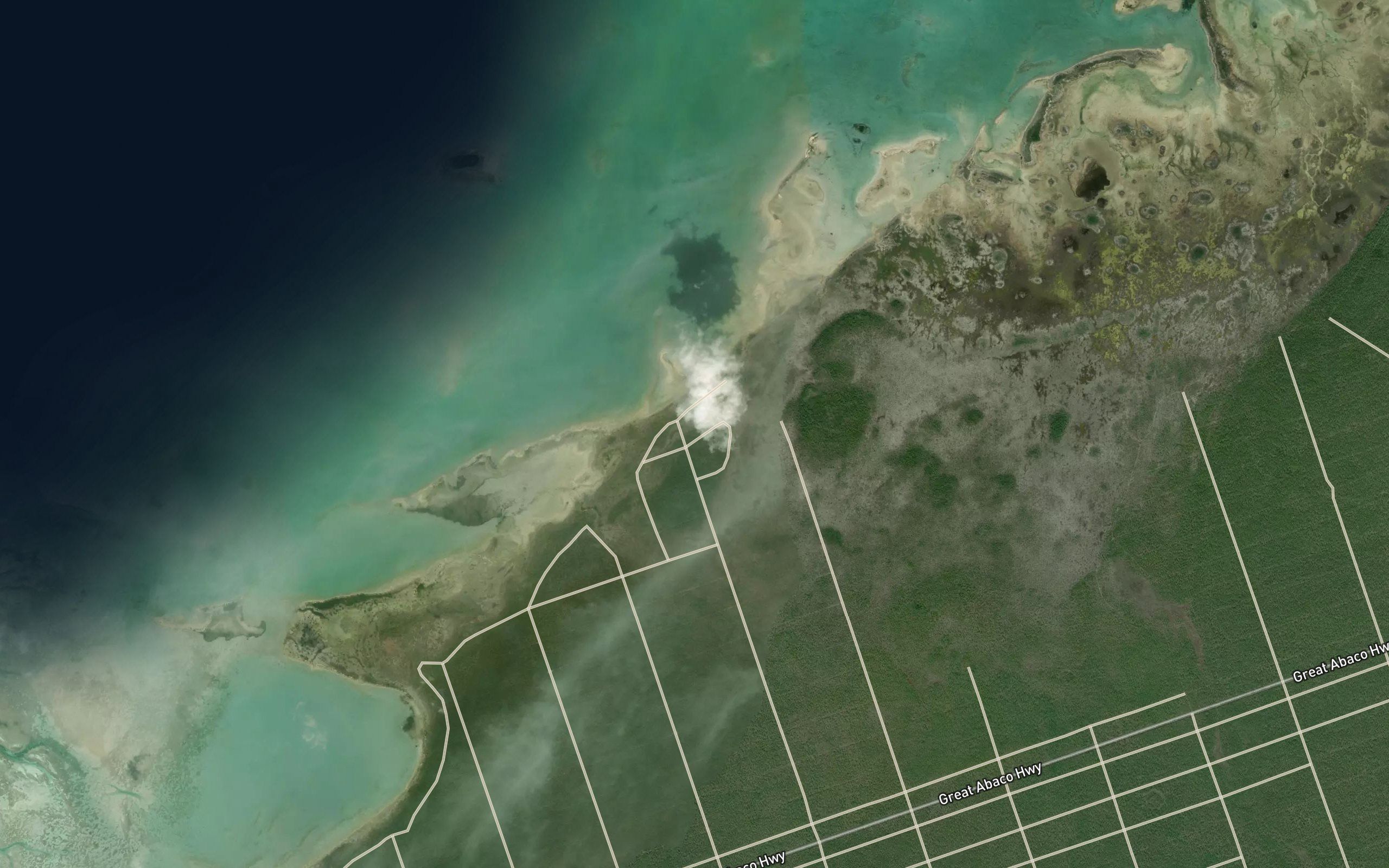 The Bight