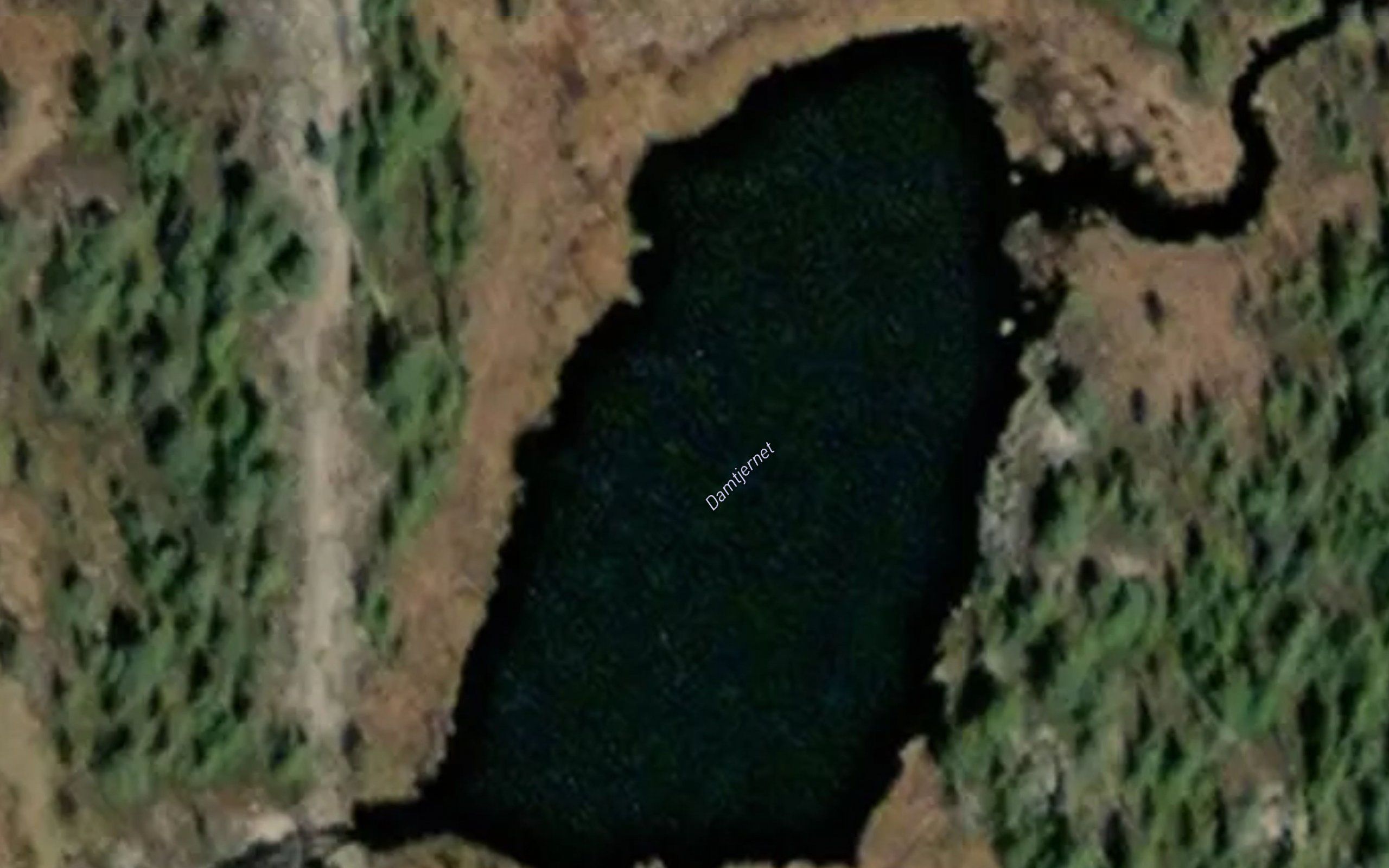 Damtjernet