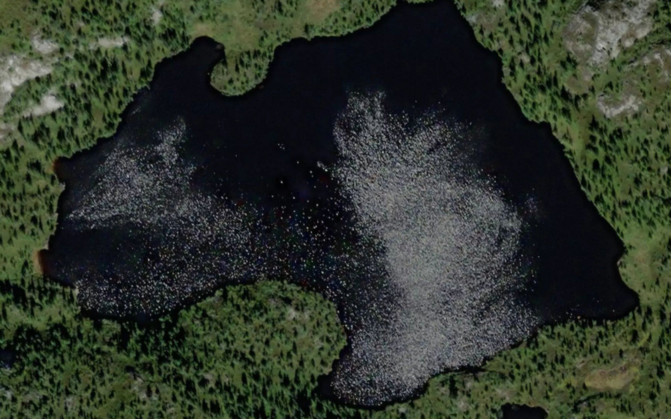 Tvitjornan,nedre