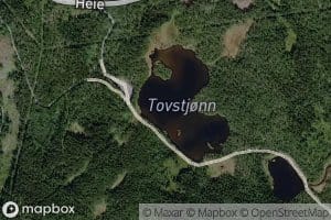 Tovstjorn