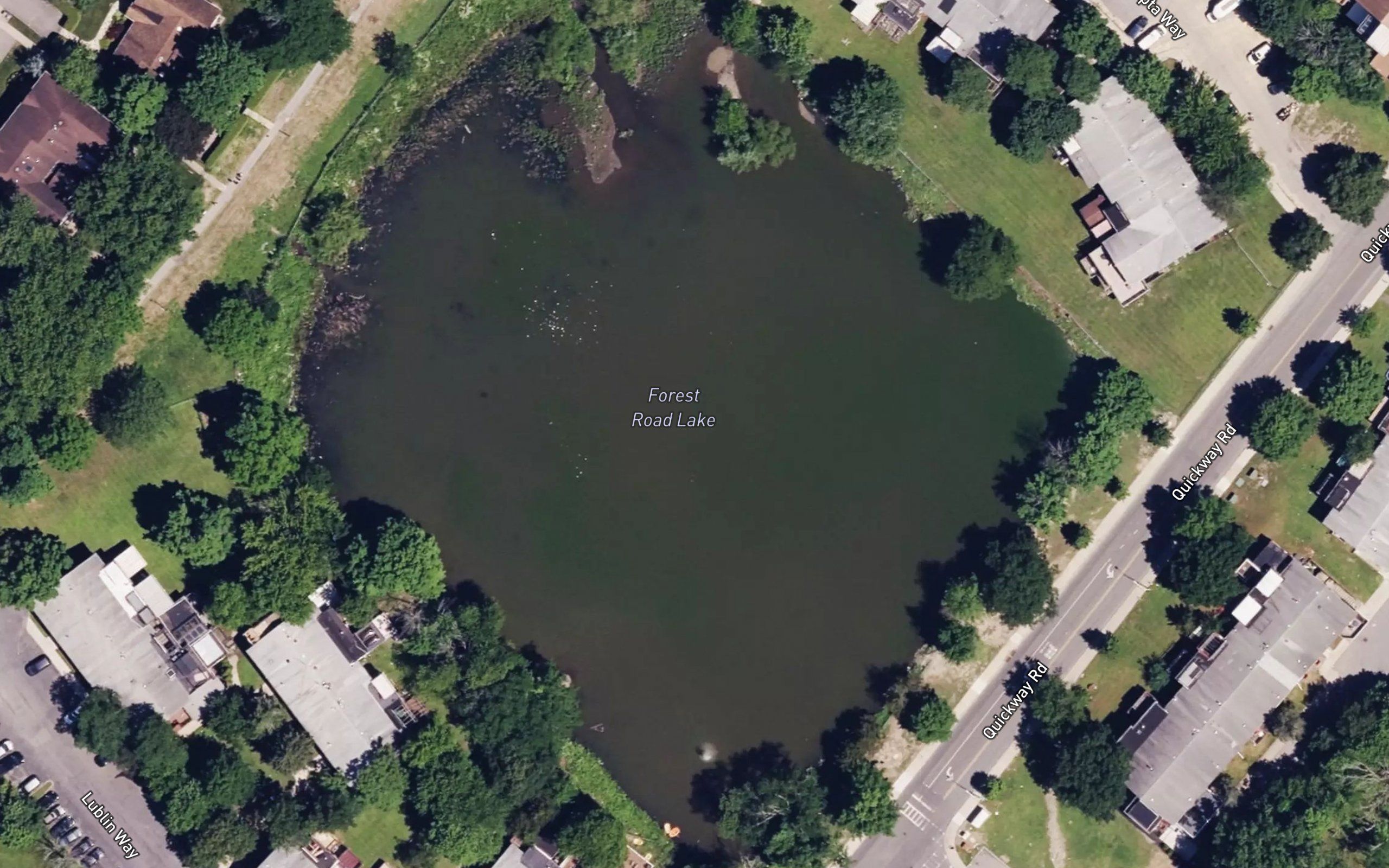 Forest Road Lake