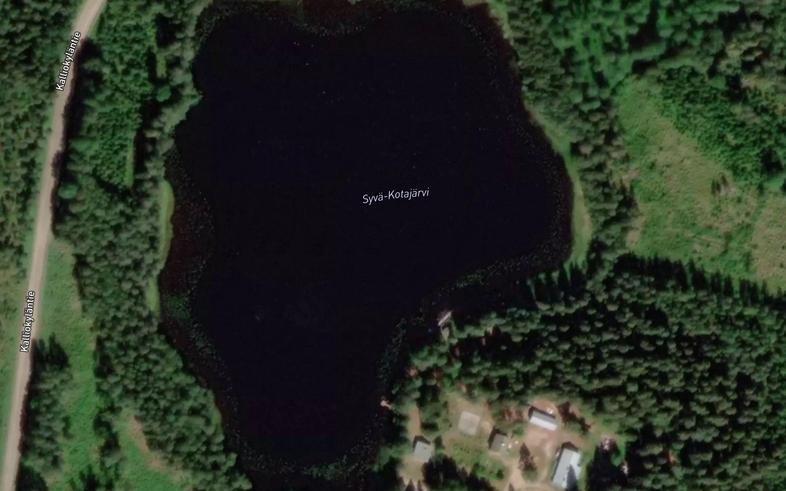 Syva Kotajarvi