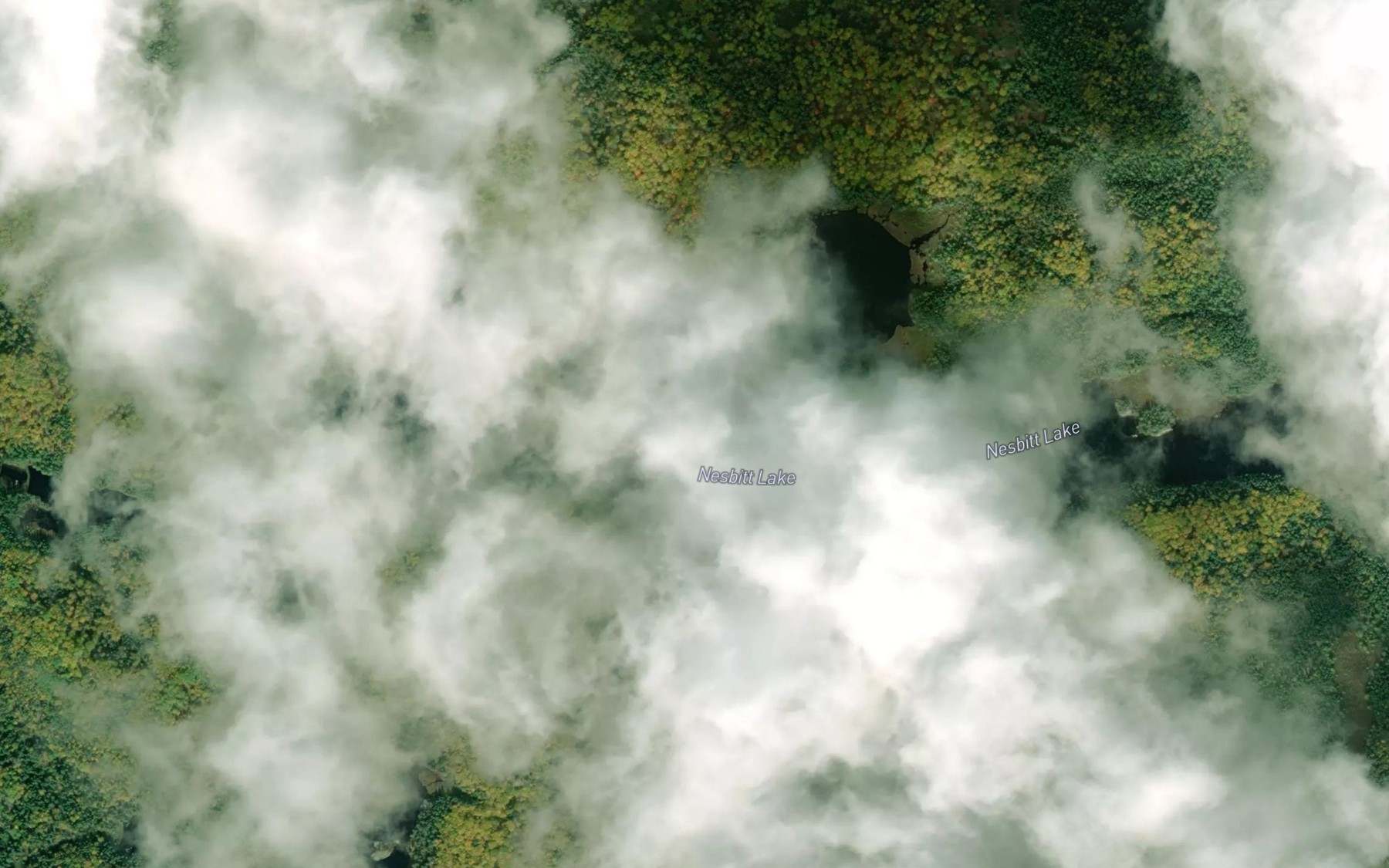 Satellite map of the Nesbitt Lake