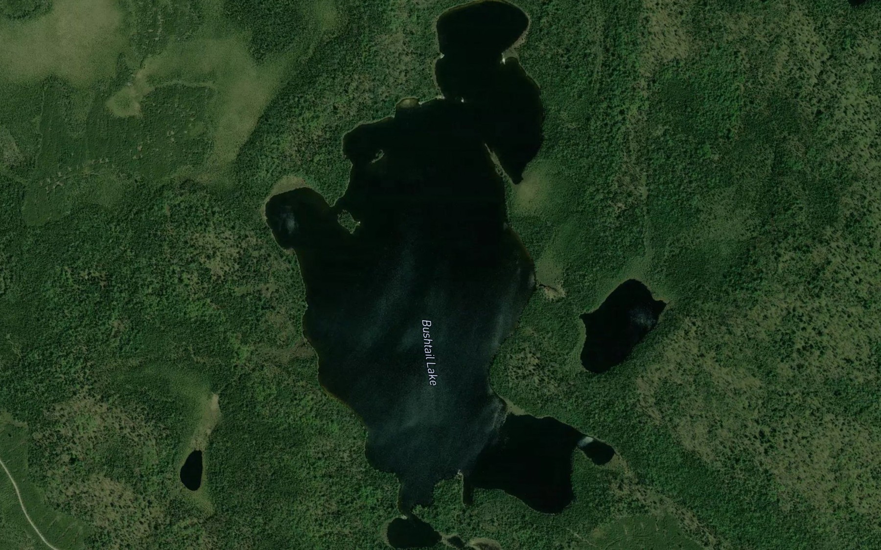 Satellite map of the Bushtail Lake
