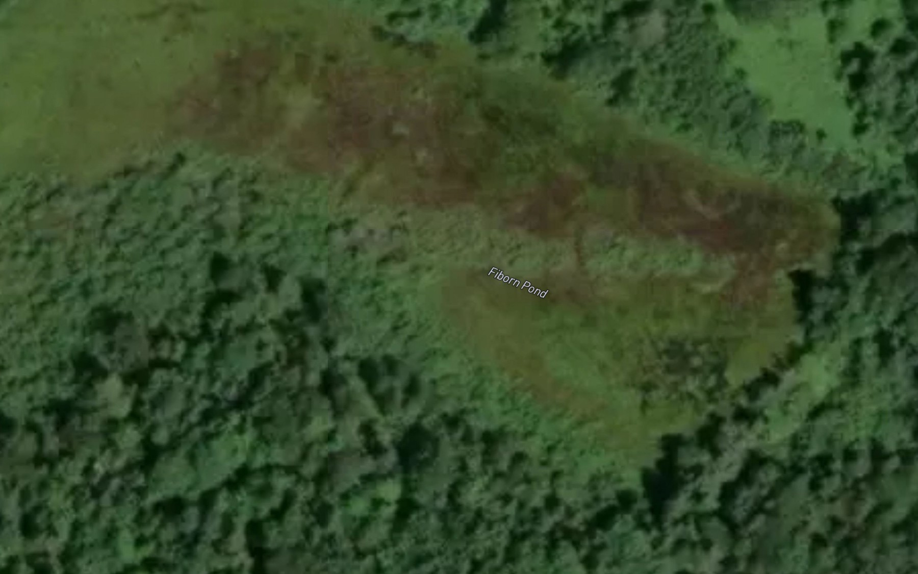 Satellite map of the Fiborn Pond