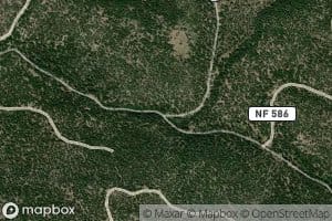 West Fork Bridge Creek