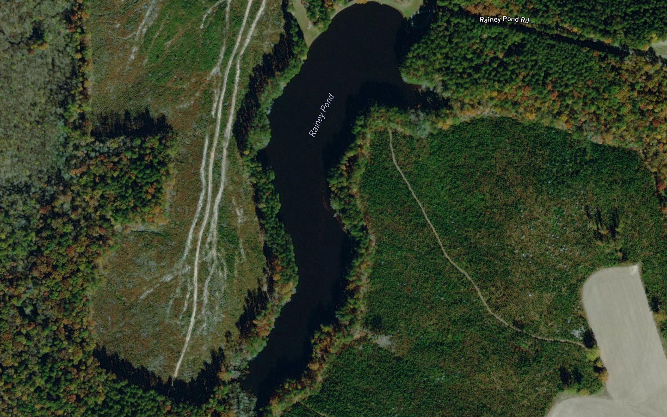 Rainey Pond