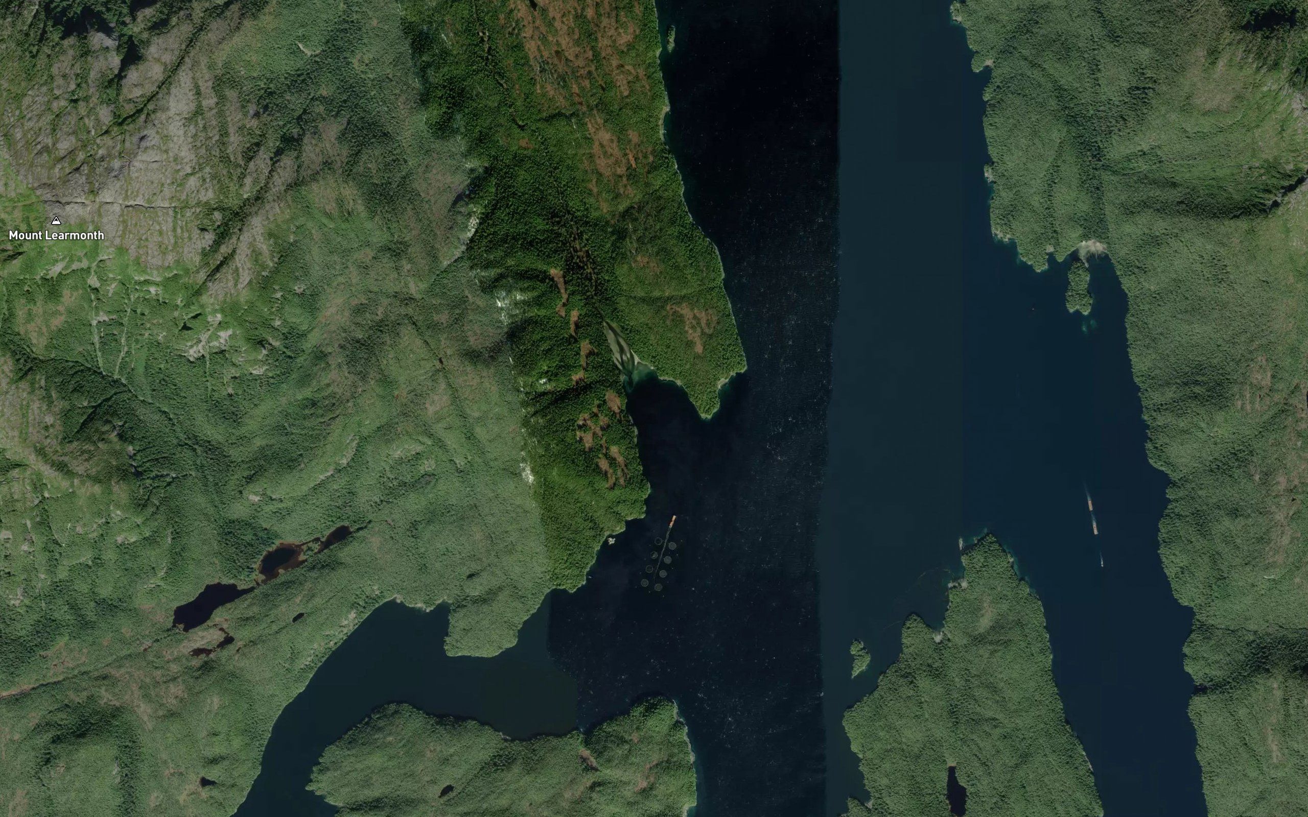 Brown Cove