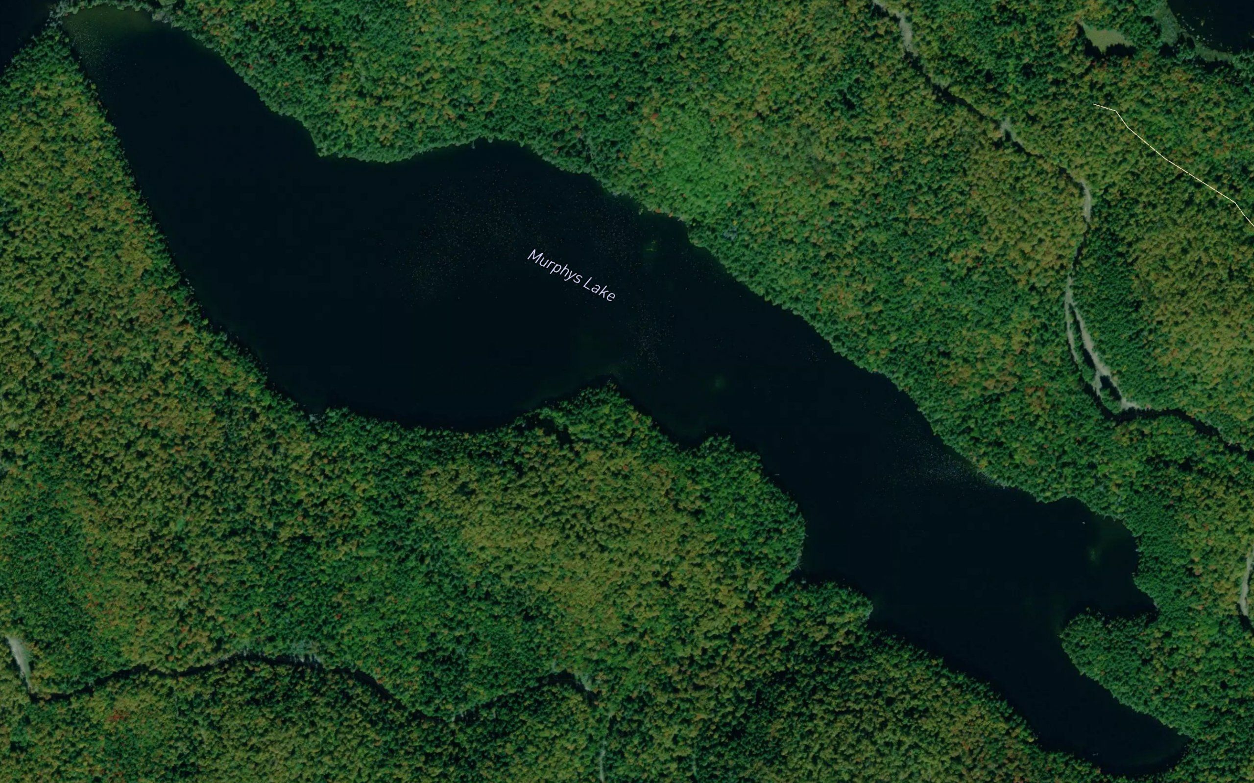 Murphys Lake