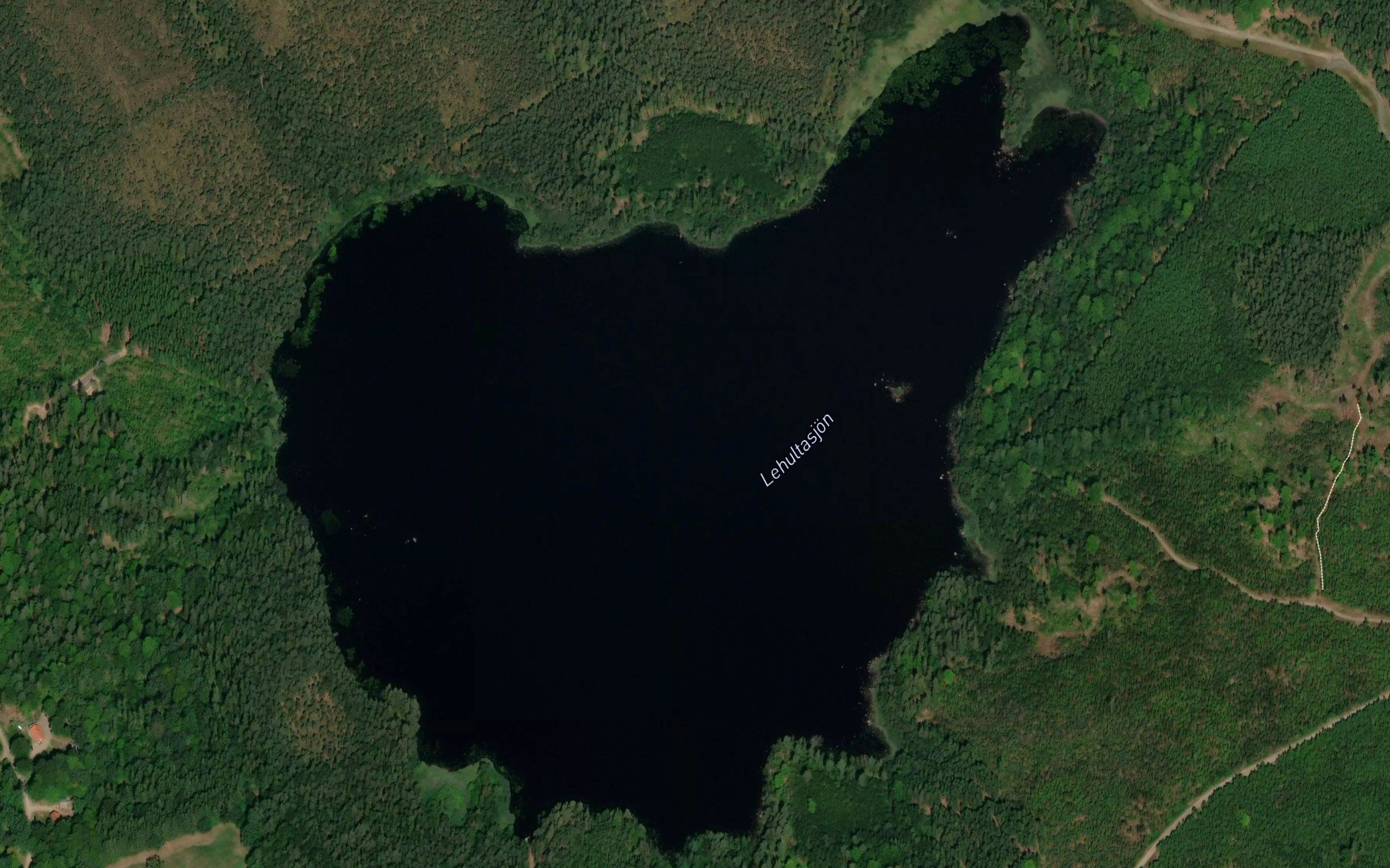 Lehultsjon