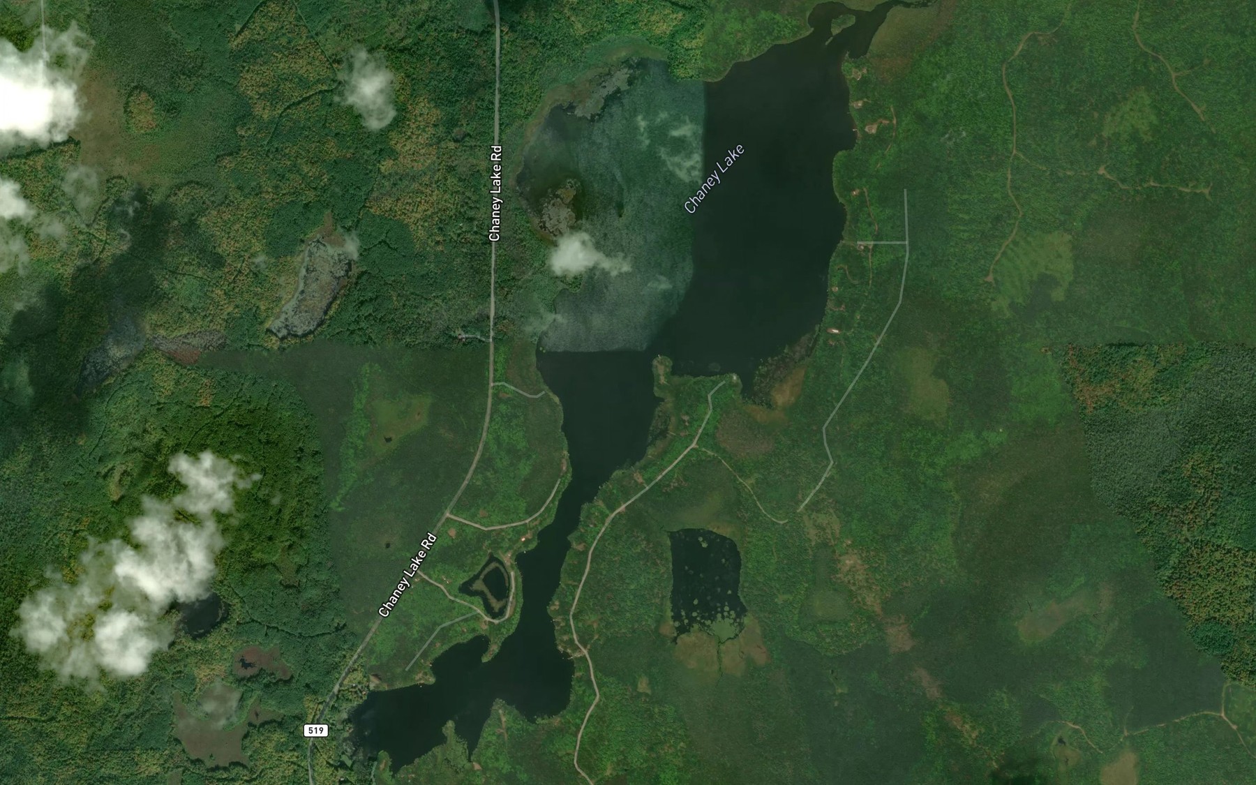 Satellite map of the Chaney Lake