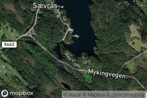 Aase Vik