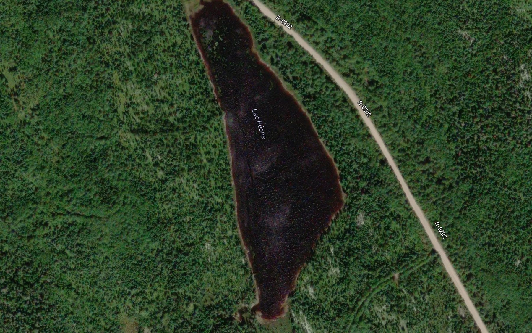 Satellite map of the Lac Peone