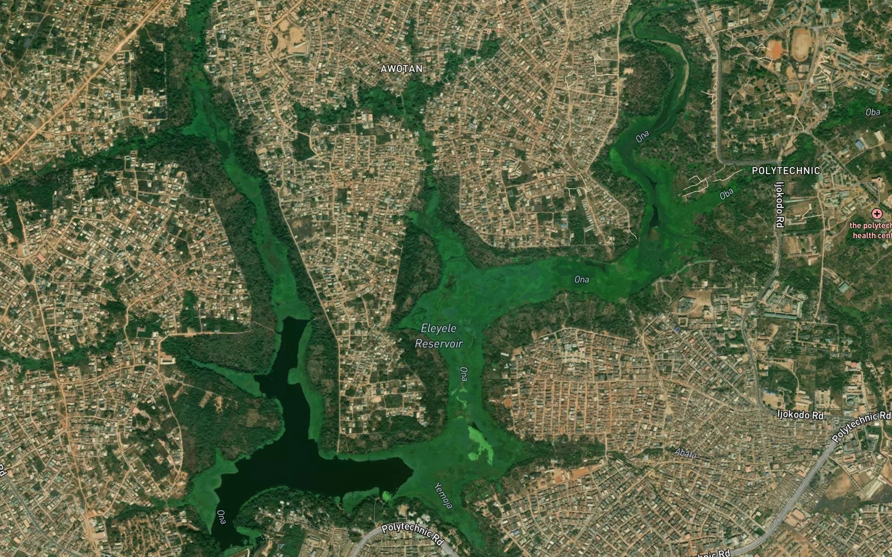 Satellite map of the River Alapata
