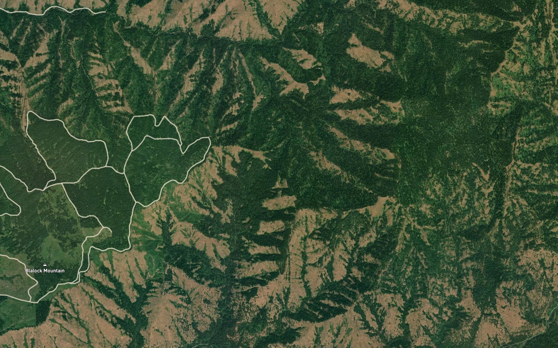 Satellite map of the Cub Spring