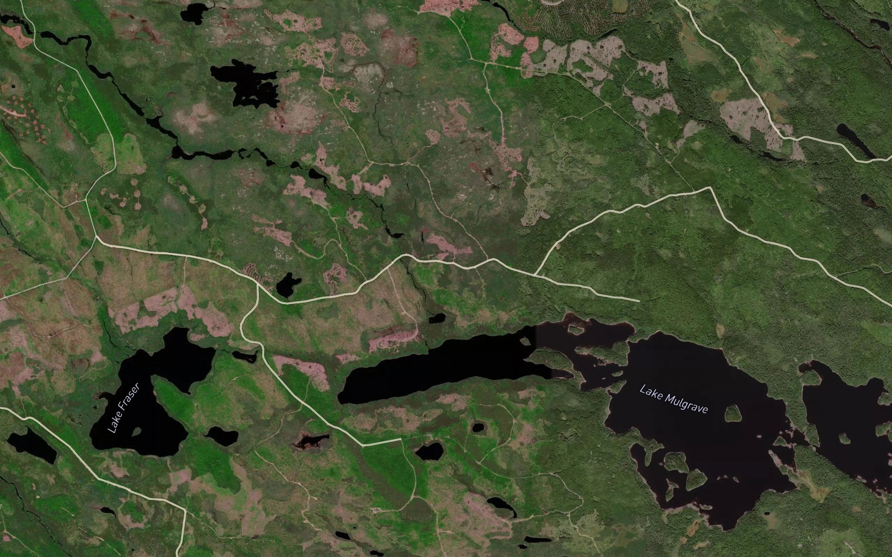 Satellite map of the Purcell Pond