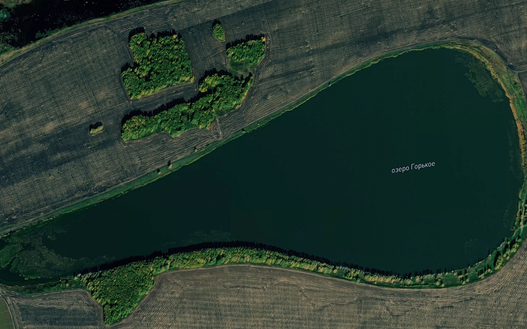 Satellite map of the Ozero Gor'koye