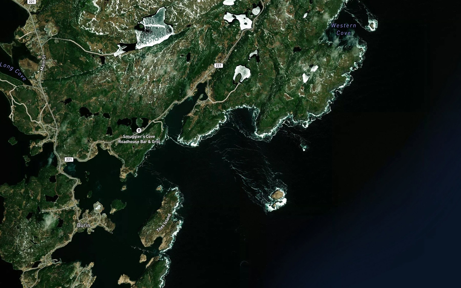 Satellite map of the Gripe Cove
