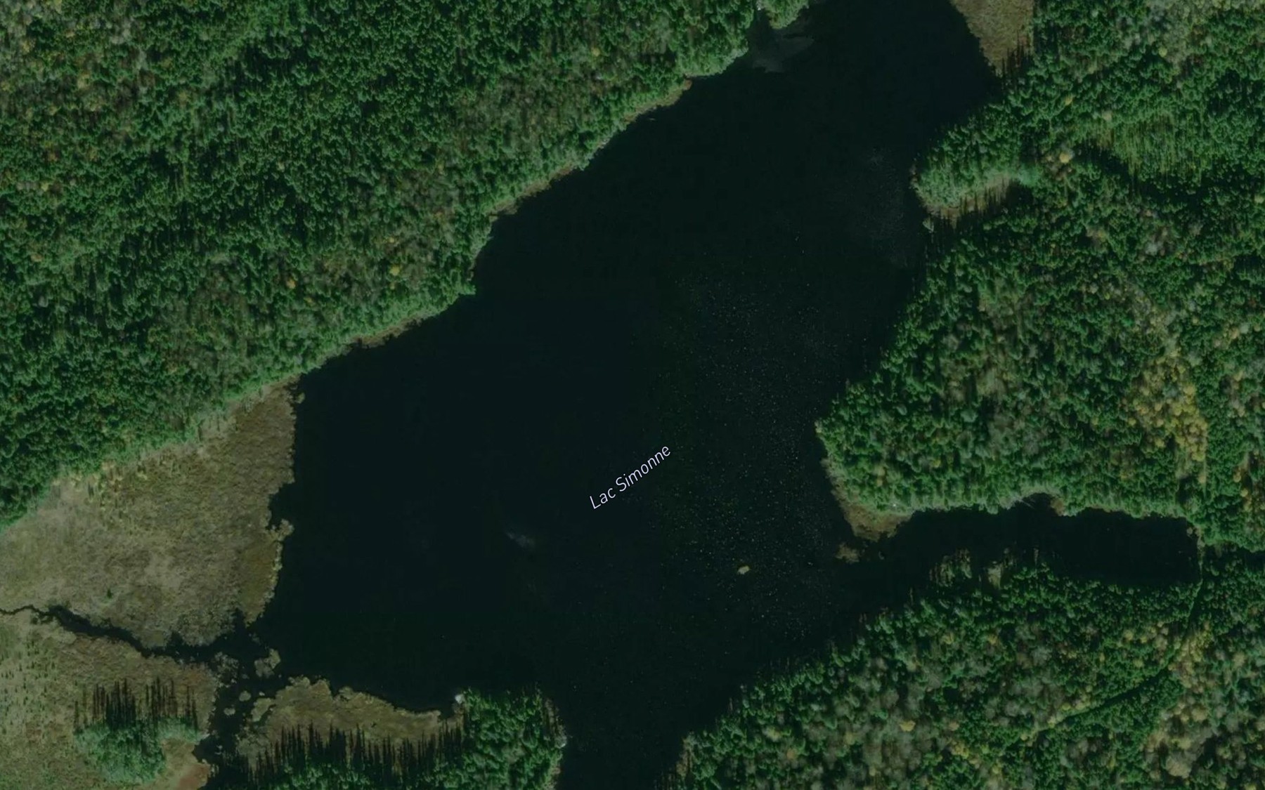 Satellite map of the Lac Simonne