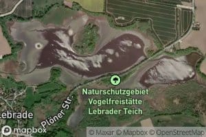 Lebrader Teich