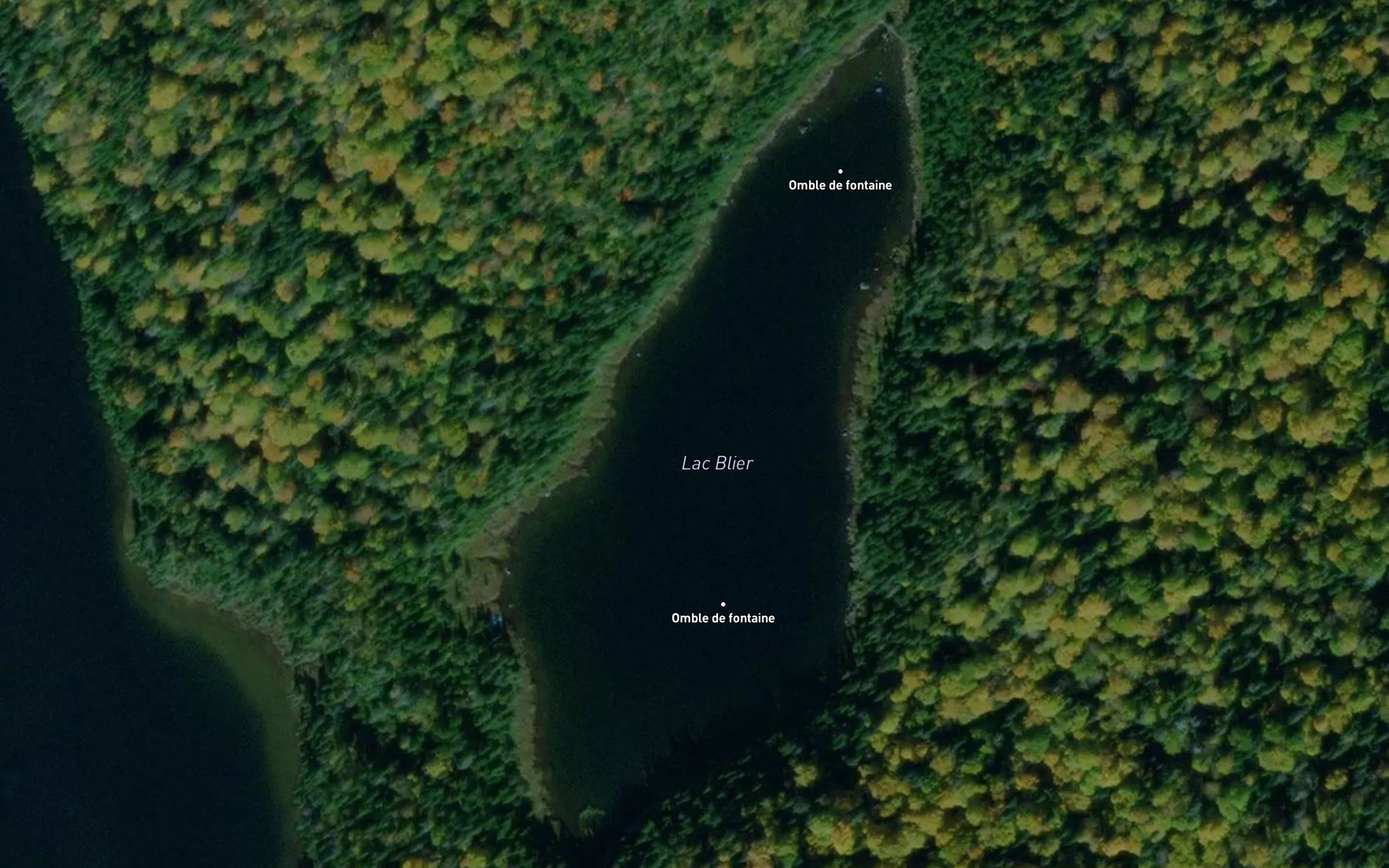 Lac Blier
