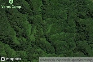 Upper Mangamate Stream